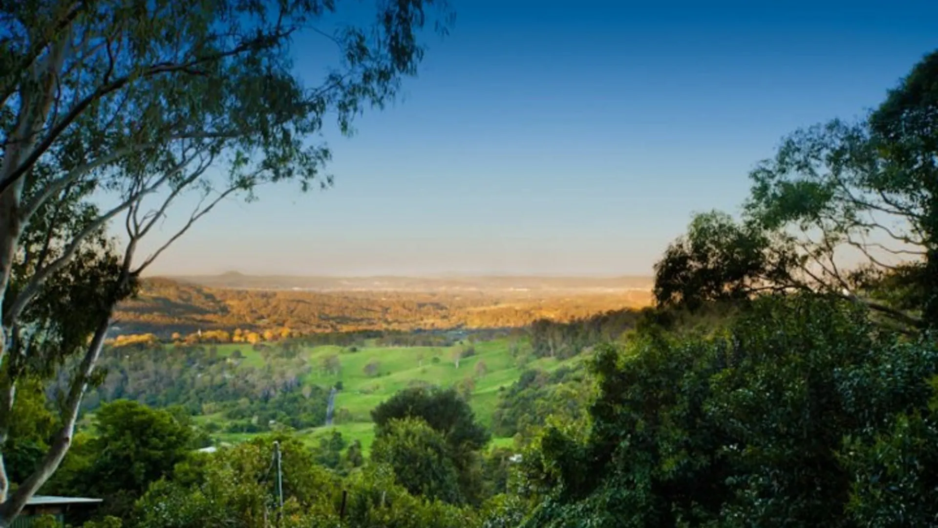 Treetops Seaview Montville Australia